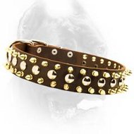 Exclusive Leather Spiked & Studded Dog Collar-Fancy Dog Collar With Classy Decoration