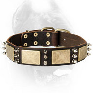 Gorgeous Custom Leather Spiked Collar - Handcrafted Cane Corso Collar