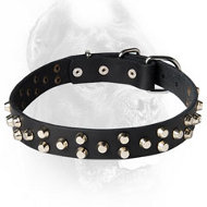 New Pyramid Studded Dog Collar for Cane Corso Breed