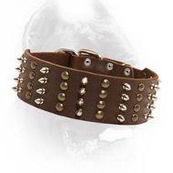 Custom Made Leather Dog Collar Combining Rows Of Spikes And Studs