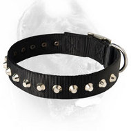 Unique Invention - 1 Row Studs Nylon Dog Collar -1 1/2" wide for Cane Corso Breed