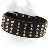 Special Pyramid Studded Cane Corso Collar-Wide Comfy Leather Dog Collar