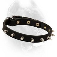 Beautiful Leather Dog Collar With Attractive Spikes-Field Dog Equipment