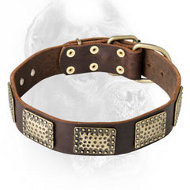 Fashionable Leather Dog Collar with Vintage Plates for Cane Corso