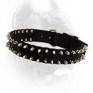 Black Colored Nylon Dog Collar with Two Rows of Shiny Spikes