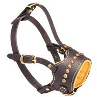 Studded Nappa Padded Leather Cane Corso Muzzle with Brass Studs