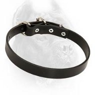 Walking Leather Dog Collar-Durable Best Cane Corso Collar