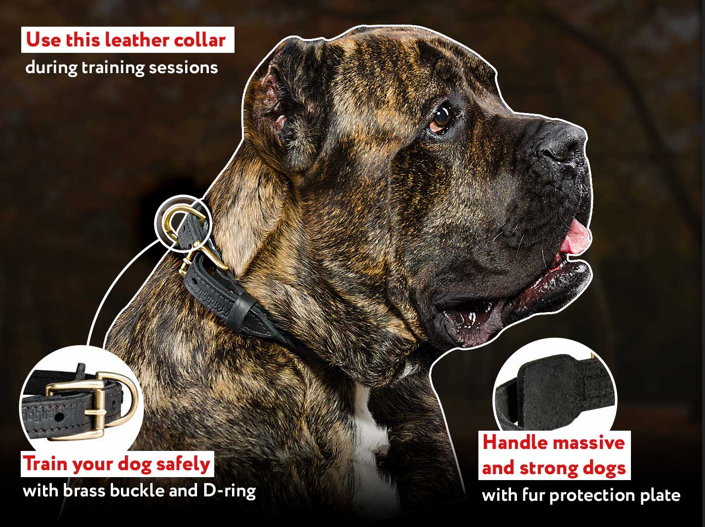 The Best Designer Leather Dog Collars Handbraided Cane Corso Collar