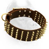 3 inch Spiked Leather Dog Collar for Cane Corso