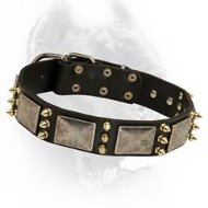 Deluxe Leather Dog Collar with Massive Nickel Plates and Brass Spikes