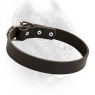Field Leather Dog Collar-Custom Cane Corso Breed Collar