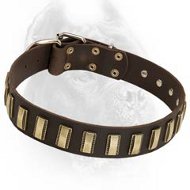Decorated Leather Dog Collar With Sparkling Plates