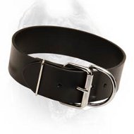 Widest Leather Dog Collar-Extra Durable Cane Corso Breed Collar