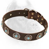 Classy Leather Dog Collar with Silver Plated Circles and Blue Stones in Their Center