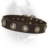 Luxury Leather Dog Collar With Beautuful Decoration for Cane Corsos
