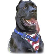 American Flag Painted Leather Dog Harness-Protection Cane Corso Designer Harness