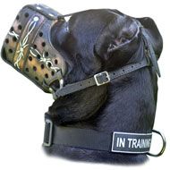 Walking and Training Leather Cane Corso Muzzle Barbed Wire Painting