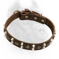 Custom Studded Leather Dog Collar for Cane Corso