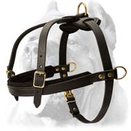 Tracking/Pulling/Agitation Leather Dog Harness For Cane Corso