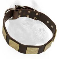 Outstanding Leather Dog Collar With Massive Handmade Brass Plates