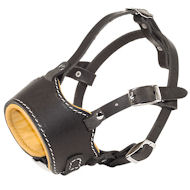 Anti-Barking Leather Cane Corso Muzzle for Safe Walking