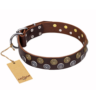 'Strong Shields' Wide FDT Artisan Leather Cane Corso Collar with Extraordinary Circles