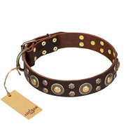 'Flower Melody' FDT Artisan Brown Leather Dog Collar with Mixed Studs for Cane Corso Everyday Use