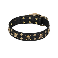'Jolly Rojer' FDT Artisan Cane Corso Leather Dog Collar with Pirate Skulls and Studs