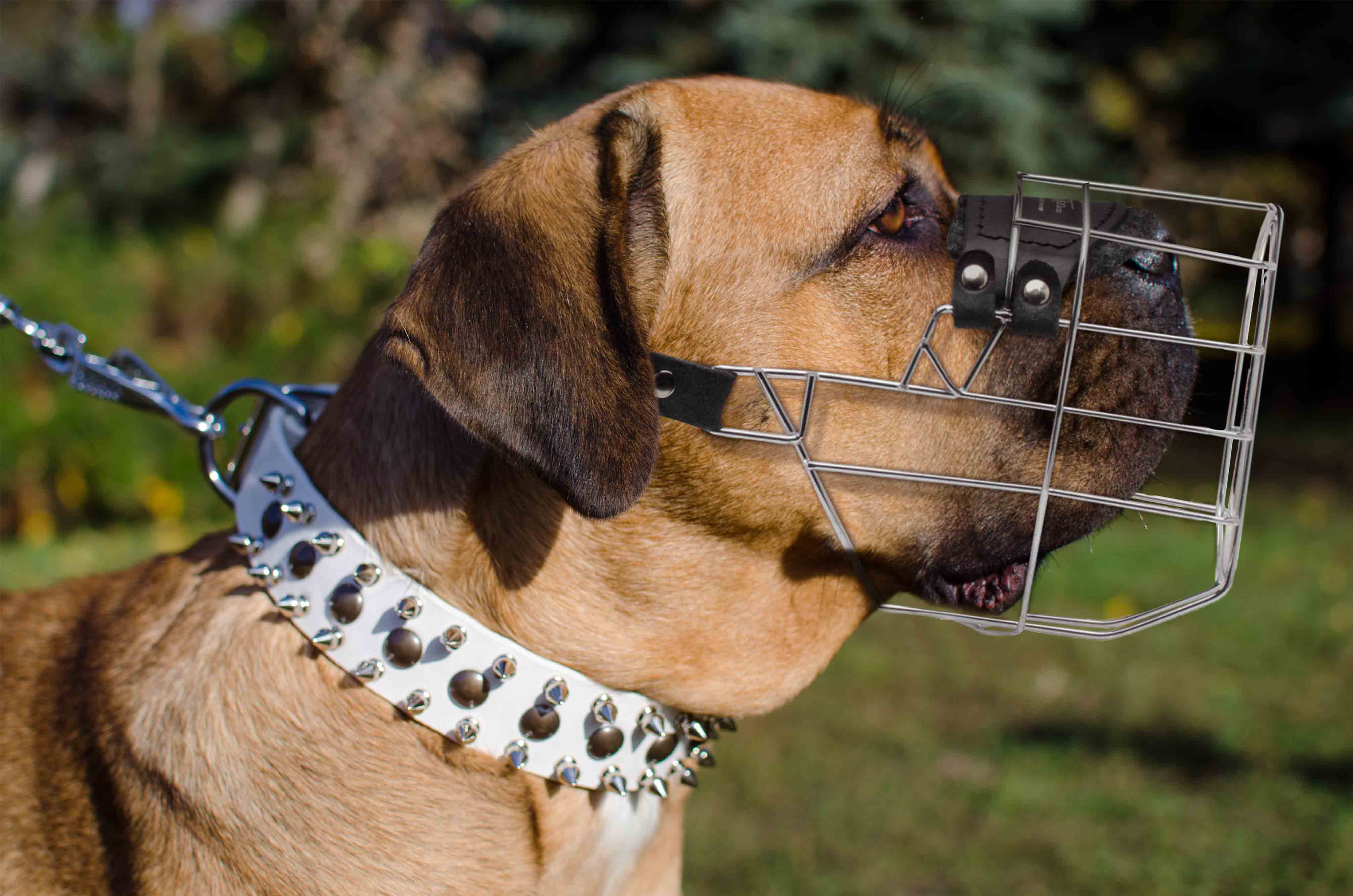 cane corso comfortable dog wire muzzle