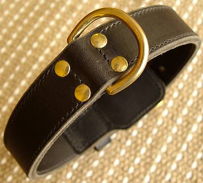 dog collar cane corso