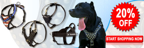 Superior Mastiff Harnesses