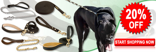 Buy Today High Quality Designer Cane Corso Leashes