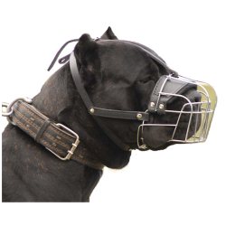 best basket muzzle