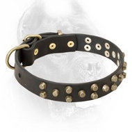 Skillfully Studded Leather Cane Corso Collar for Walking