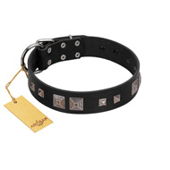 "Foregone Riches" FDT Artisan Black Leather Cane Corso Collar with Old Silver-like Square Studs and Pyramids