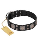 "Sun in Shining" Modern FDT Artisan Black Leather Cane Corso Collar with Studs and Stars