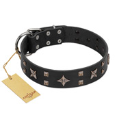 "Star Excitement" Modern FDT Artisan Black Leather Cane Corso Collar with Studs and Stars
