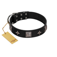 "Black Cavalier" Handmade FDT Artisan Black Leather Cane Corso Collar with Silver-Like Stars and Large Plates