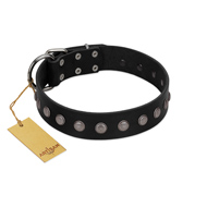 "Silver Flower" Exclusive FDT Artisan Black Leather Cane Corso Collar with Silver-Like Studs