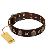 "Captain Hook" FDT Artisan Brown Leather Cane Corso Collar with Stars and Skulls