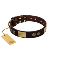 "Bow-Wow Effect" FDT Artisan Brown Leather Cane Corso Collar with Plates and Ornate Studs