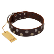 "Shadow Warrior" FDT Artisan Mystic Brown Leather Cane Corso Collar with Runes