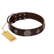 "Flashy Woof" FDT Artisan Brown Leather Cane Corso Collar with Chrome Plated Brooches