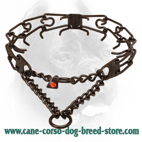 Black Pinch Dog Collar Made of Stainless Steel