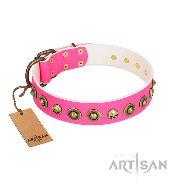 Full grain leather collar with impressive embellishments for your pet