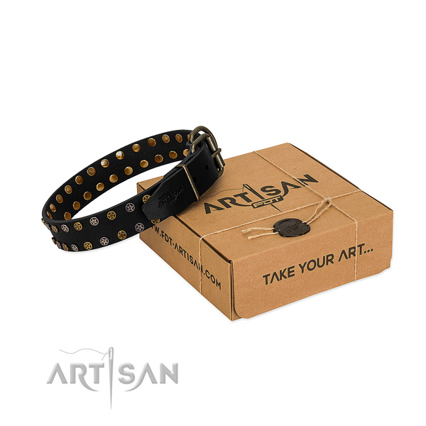 Full grain leather collar with top notch embellishments for your dog