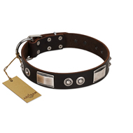 "Baller Status" FDT Artisan Brown Leather Cane Corso Collar Adorned with a Set of Chrome Plated Studs and Plates