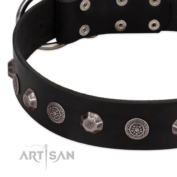 Amazing full grain natural leather dog collar for daily use