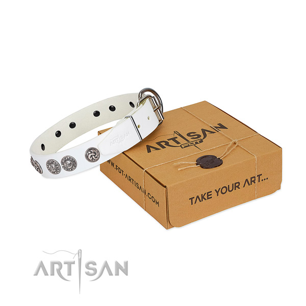 Stunning leather collar for your four-legged friend daily walking