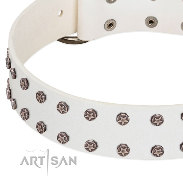 Adjustable full grain leather dog collar for everyday walking